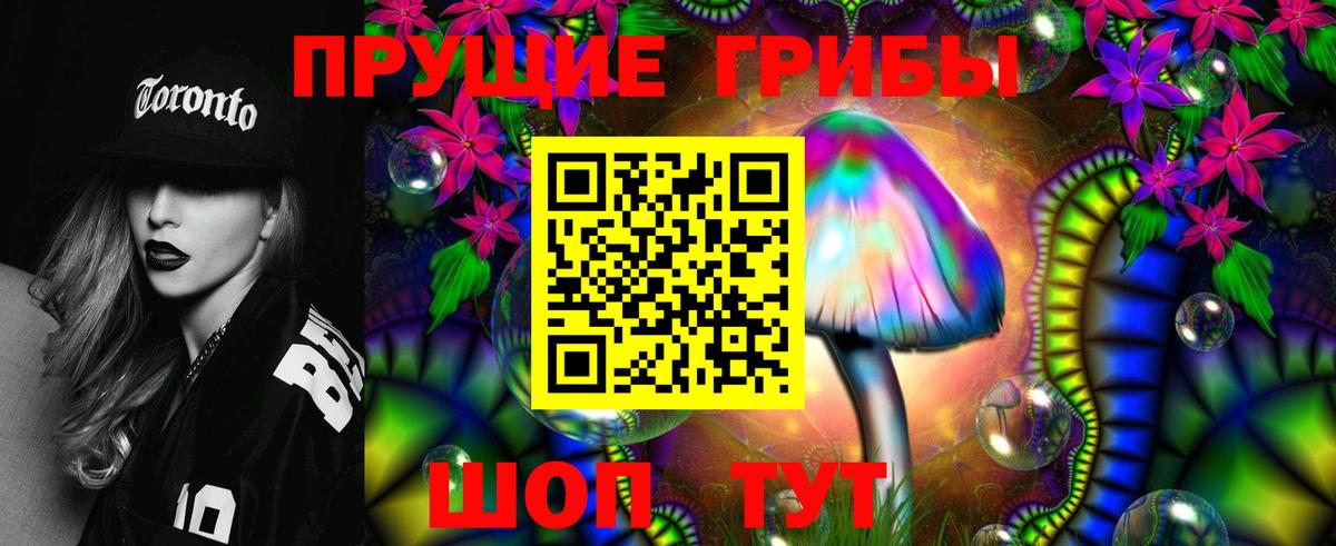 Псилоцибиновые грибы мухоморы Петрозаводск