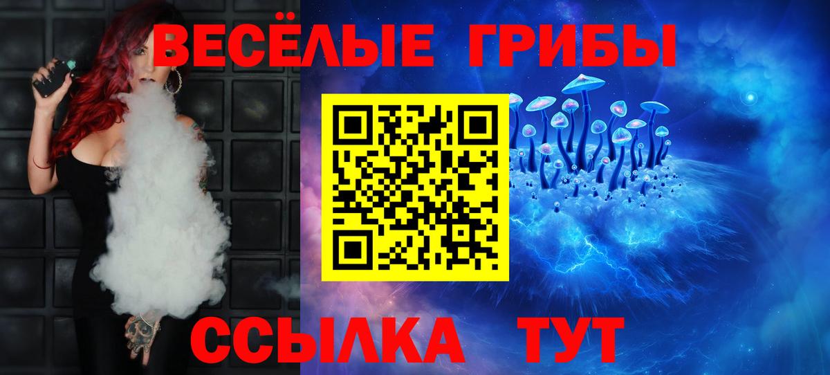 Петрозаводск  Галлюциногенные грибы Psilocybine cubensis  Вход с VPN 